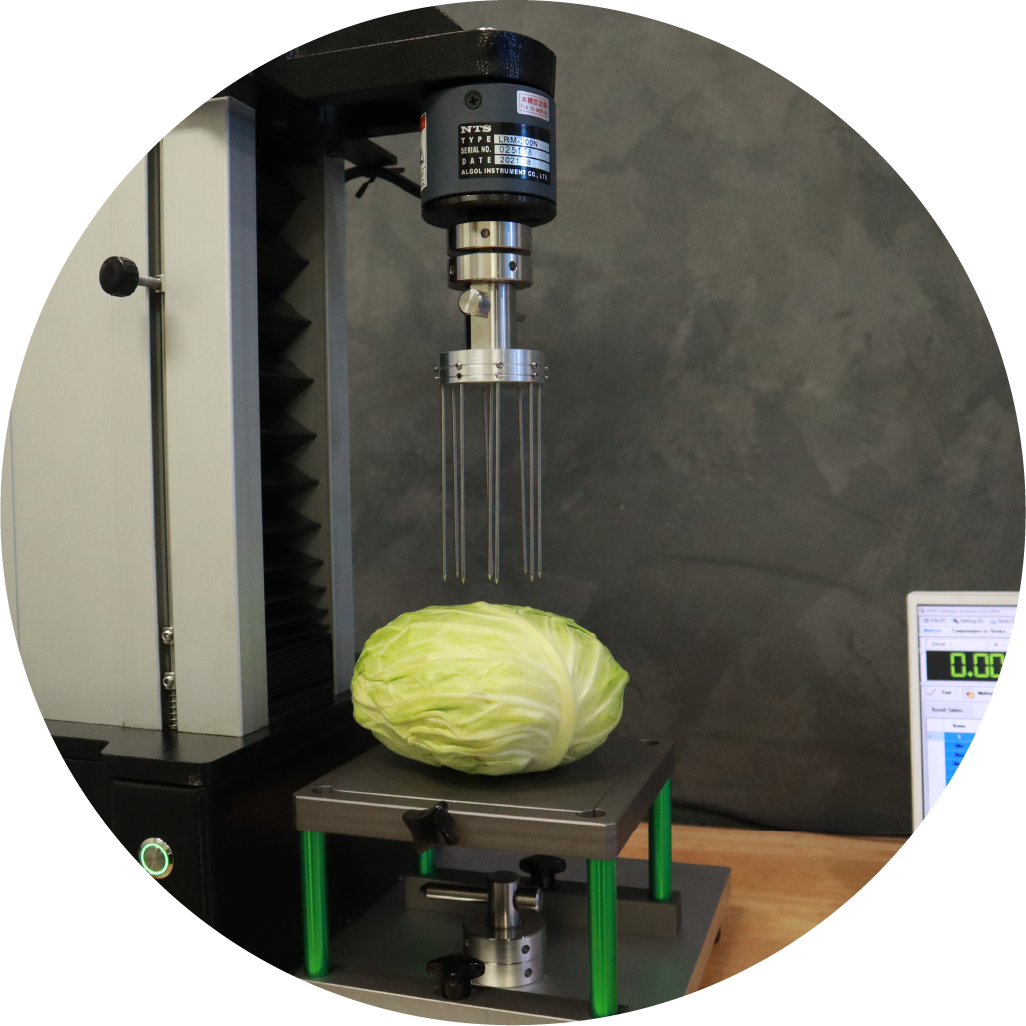 Food Texture Analyzer